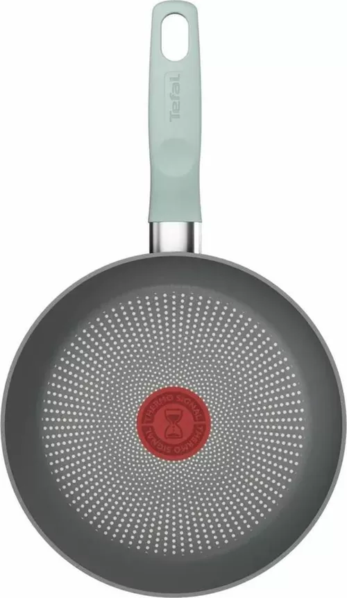 cumpără Tigaie Tefal G0160402 Halo Eucalyptus 24cm în Chișinău 