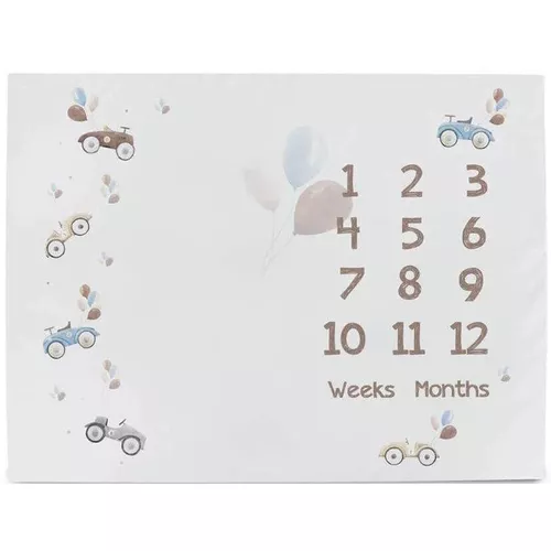 купить Коврик игровой Ceba Baby W-309-000-640 Basic Retro Cars, 92x72 см, в Кишинёве 