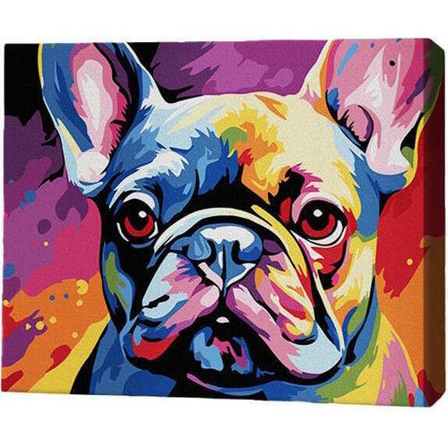 купить Картина по номерам BrushMe RMGB011FC 30x40 см (черный холст/без коробки) Красочный бульдог в Кишинёве 