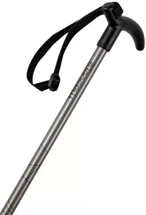 купить Треккинговые палки Masters POCKETREK (01S2225) в Кишинёве 