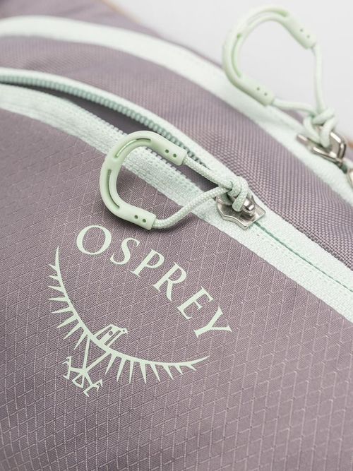 купить Поясная сумка Osprey Daylite Waist soundwave grey/lt Br (10054041OSP) в Кишинёве 