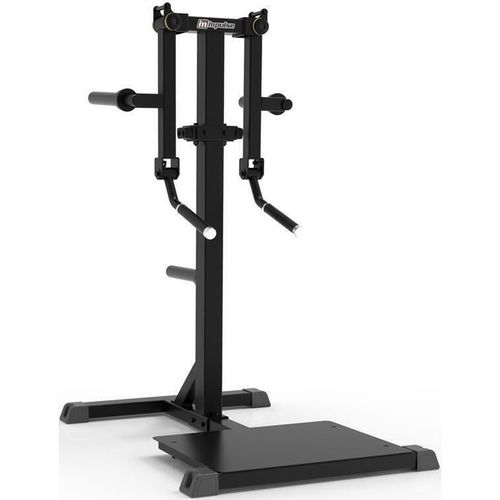 купить Скамья для силовых упражнений Impulse 54777 Standing Lateral Raise IFP1103-WX в Кишинёве 