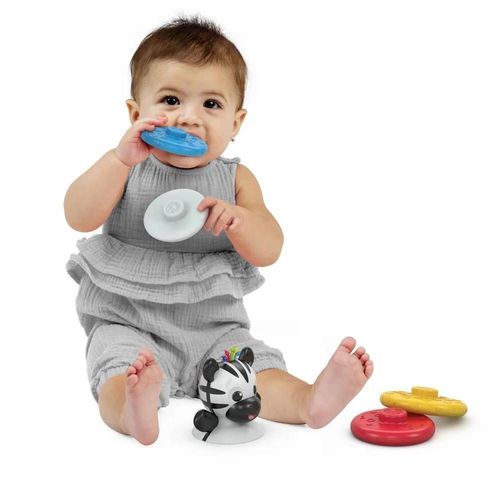 cumpără Iinel dentiție Baby Einstein 16709 Jucarie zornaitoare si dentitie Zen în Chișinău 