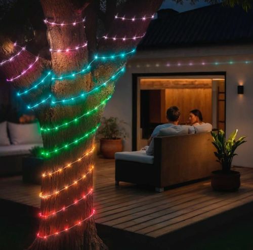 купить Гирлянда Hama 176660 Smart LED Light Chain, WLAN, Colour Chg, Dimm., O/door IP65, 10 m, colours в Кишинёве 