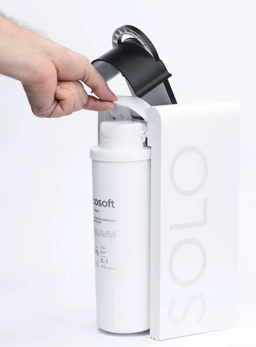купить Фильтр проточный для воды Ecosoft 47EK0615 Sistem cu osmoza inversa Ecosoft Cross Solo в Кишинёве 