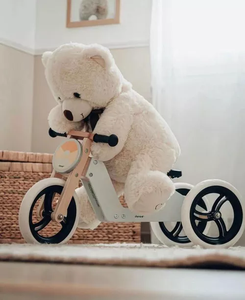cumpără Bicicletă Janod J03280 Tricicleta 2in1 în Chișinău 