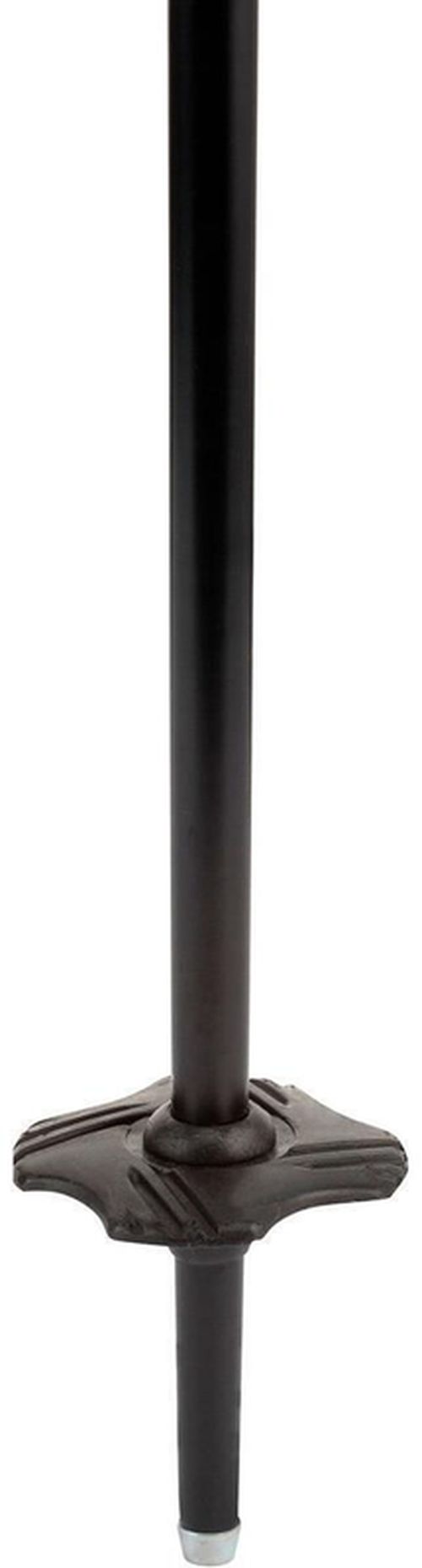 cumpără Bețe de schi Rossignol Tactic Jr Grey 095 (RDI6030) în Chișinău 