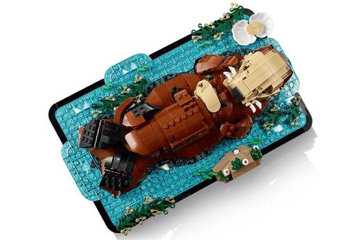 cumpără Set de construcție Lego 21366 Floating Sea Otters în Chișinău 