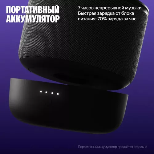 купить Колонка портативная Bluetooth Yandex YNDX-00059GRY Alisa Station Mini 3 Pro Grey в Кишинёве 