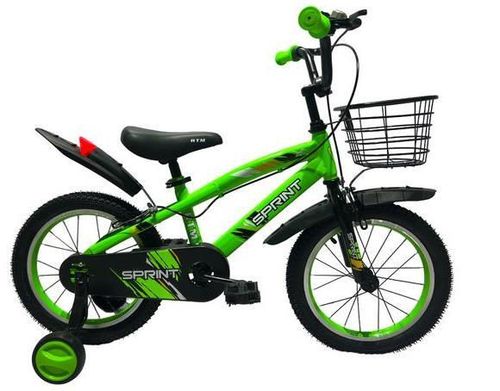 купить Велосипед Richi GI-5/3 Bicicleta pentru copii 16" verde в Кишинёве 