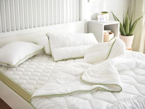 купить Домашний текстиль Dormeo Aloe Vera Duvet 200x200 (110087868) в Кишинёве 