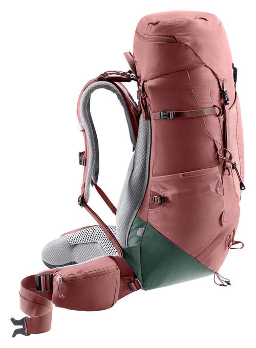 cumpără Rucsac turistic Deuter Aircontact Lite 35+10 SL caspia-ivy în Chișinău 