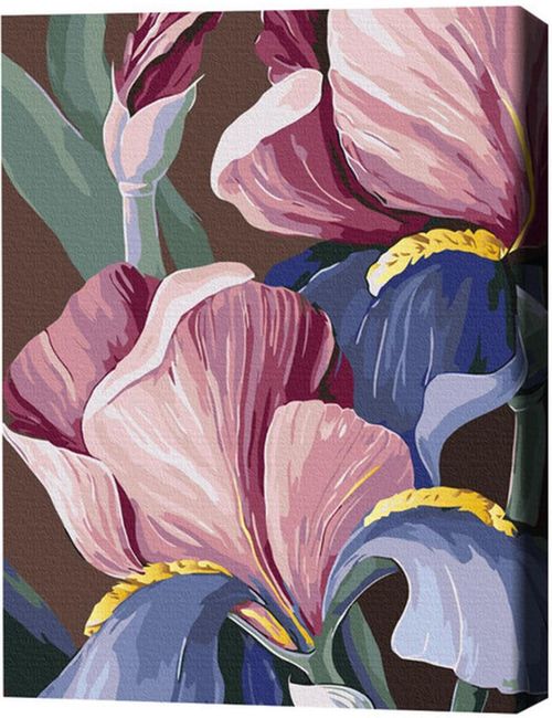 купить Картина по номерам BrushMe BS53760 40x50 сm (în cutie) Biluhina в Кишинёве 