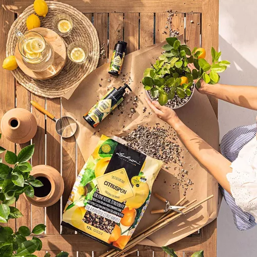 купить Субстрат для растений Lechuza Citruspon, 12l в Кишинёве 
