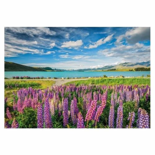 cumpără Puzzle Clementoni Puzzle 1500 Lupins At Lake Tekapo (31731) în Chișinău 