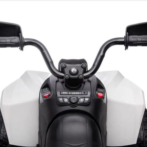 купить Электромобиль Golden Baby DK-CA002 ATV Can Am Marverick,alb, GB2283 в Кишинёве 