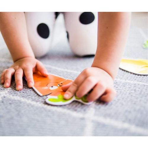 cumpără Puzzle Dodo 300152 Puzzle 6in1: Animale domestice în Chișinău 