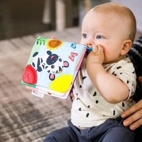 cumpără Iinel dentiție Baby Einstein 11794 Jucarie-carte pentru dentitie în Chișinău 