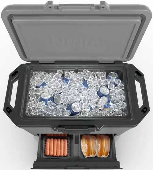 cumpără Geantă frigorifică NINJA FB151EUGY în Chișinău 