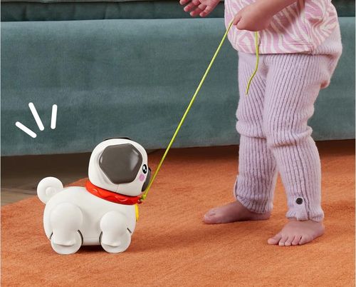 cumpără Jucărie Fisher Price HTW94 Jucărie Fisher Price în Chișinău 