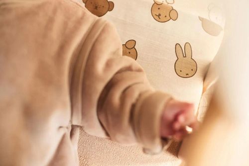 cumpără Haine pentru copii Jollein 065-548-68108 Sac de dormit fara maneci Velvet Oatmeal, 70cm în Chișinău 