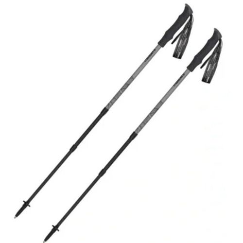 cumpără Bețe pentru trekking Masters HIKER Lite Zinc Grey 01S0925 în Chișinău 