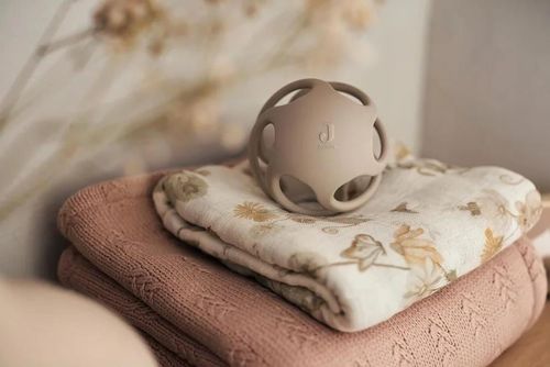 купить Аксессуар для пеленания Jollein 535-852-67056 Pelincuta de muselina Dreamy Mouse, 115x115cm в Кишинёве 