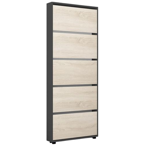 купить Полка для обуви Mobildor-Lux Leo Slim 50x16x203H cm Anthracite/Sonoma в Кишинёве 