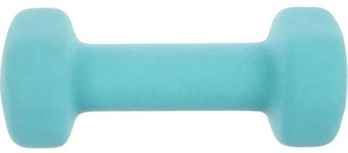купить Гантель Enero Dumbbell Set (1029238) 2x1kg в Кишинёве 