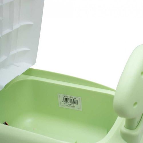 купить Толокар Baby Mix 57459 Kiddo Cruiser mint в Кишинёве 