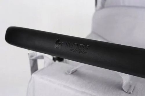 купить Детская коляска Kunert Carucior pentru gemeni Booster gri (bo.1) в Кишинёве 