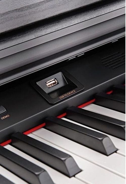 купить Цифровое пианино Hemingway DP-501 MKII RW Rosewood в Кишинёве 