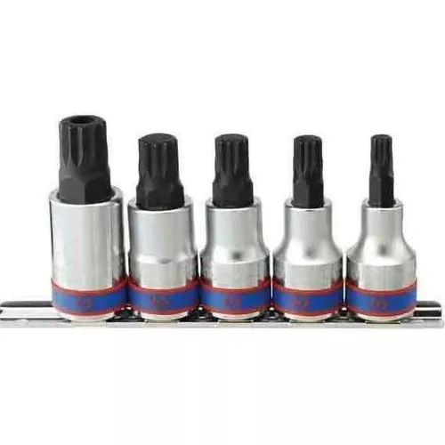 cumpără Set de tubulare, bite, duze King Tony 4105PR Set biți SPLINE M8-M16 Lungime 60 mm 1/2", 5 buc. în Chișinău 