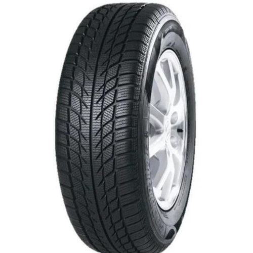 купить Шина Nordexx 185/65 R15 88H WinterTrac в Кишинёве 