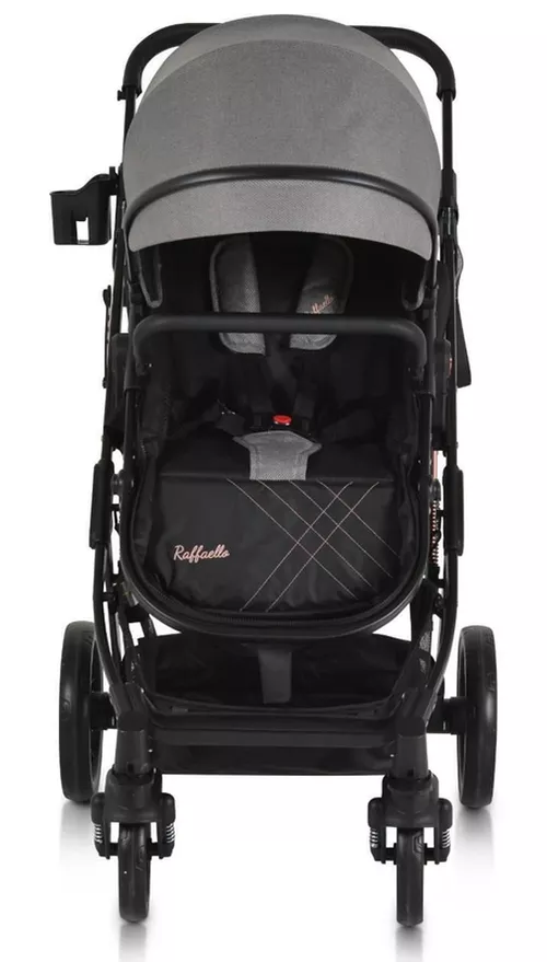 cumpără Сărucior pentru copii Moni Rafaello 2in1 Grey în Chișinău 