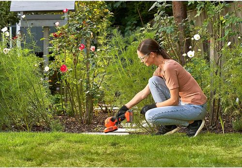 купить Кусторез Black&Decker BCSS18D1 в Кишинёве 