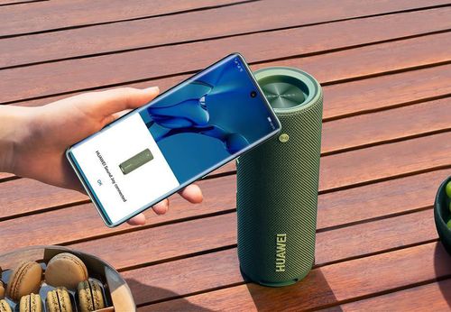 купить Колонка портативная Bluetooth Huawei Sound Joy, Spruce Green в Кишинёве 