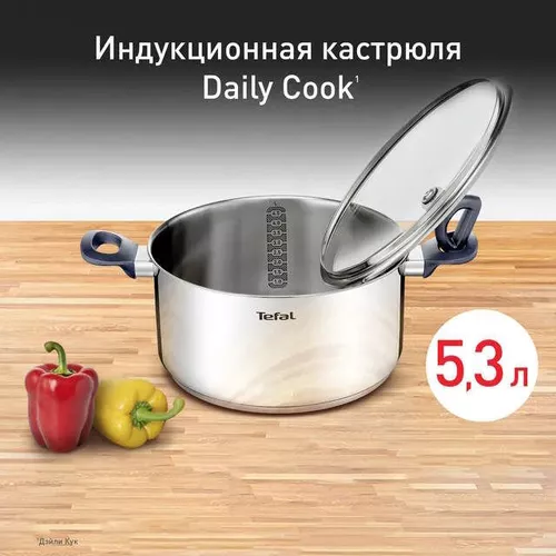 купить Кастрюля Tefal G7124645 Daily Cook 5l в Кишинёве 