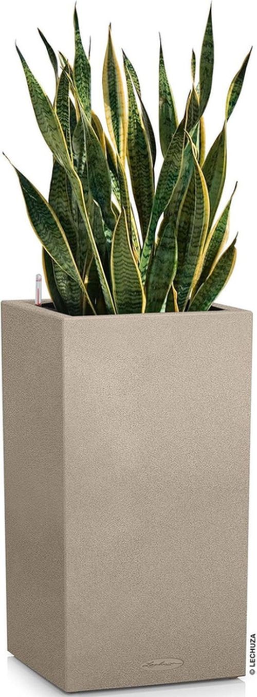 купить Цветочный горшок Lechuza Canto Stone 30 High, Sandy Beige в Кишинёве 