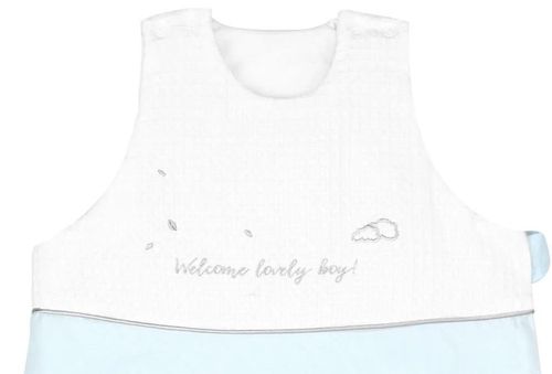 cumpără Lenjerie de pat pentru copii Kikka Boo 41130000064 Sac de dormit de iarna brodat Dream Big Blue (6-18 luni) în Chișinău 