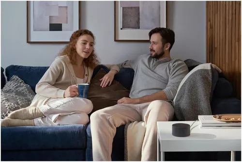 cumpără Boxă portativă Bluetooth Yandex YNDX-00021K Alisa Station Mini Black în Chișinău 