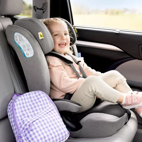 cumpără Scaun auto Graco Energi i-Size Meteor (fixare sistem Isofix) în Chișinău 