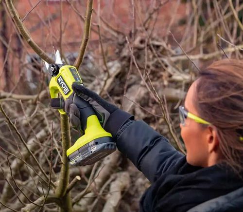 cumpără Foarfecă de gradină RYOBI RY18SCXA-120 5133005900 în Chișinău 