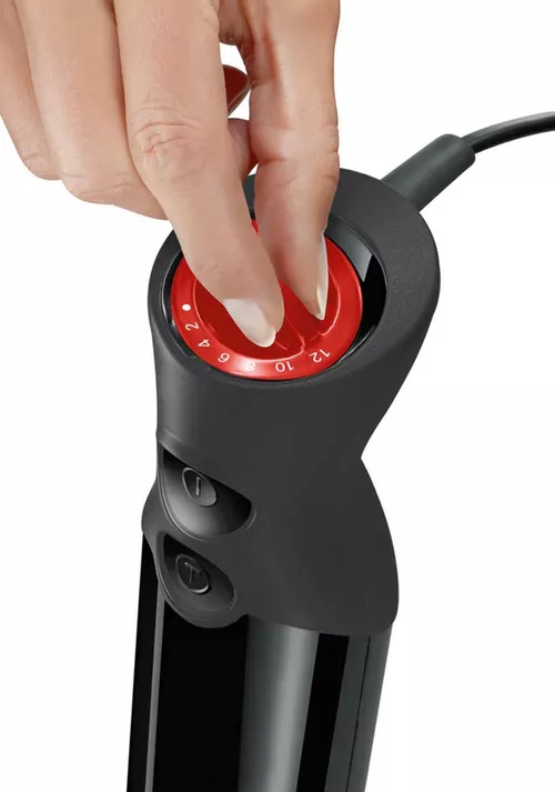 купить Блендер погружной Bosch MS6CB6110 в Кишинёве 