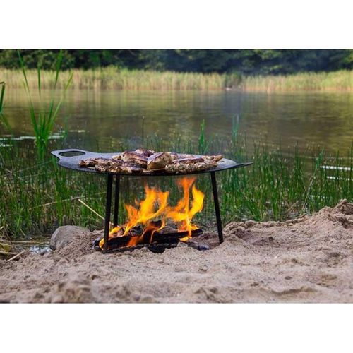 cumpără Tigaie Petromax PMX-FS48 Tigaie-Disc Steel Griddle 48cm în Chișinău 