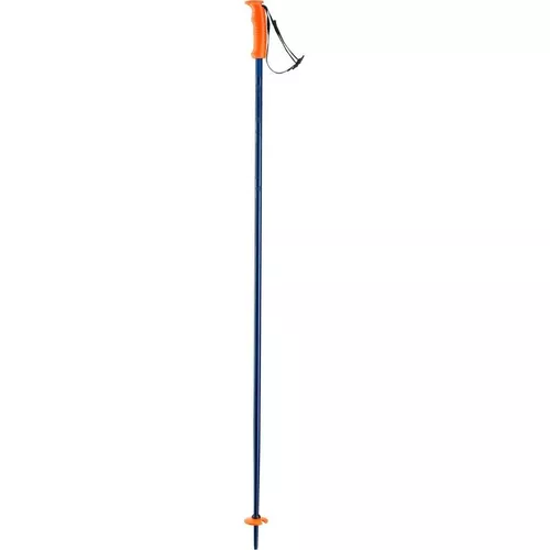 купить Лыжные палки Elan HOT ROD blue 125 (CD633423 125) в Кишинёве 