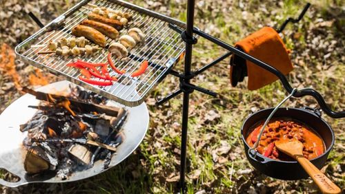 cumpără Produs pentru picnic Petromax Accesoriu foc multifunctional Fire Anchor în Chișinău 