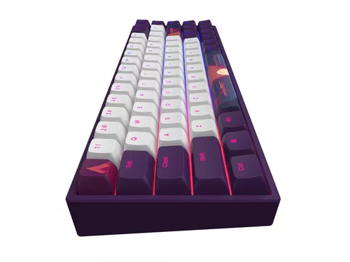 купить Игровая клавиатура Dark Project 68 Sunrise - G3MS Mech. RGB в Кишинёве 