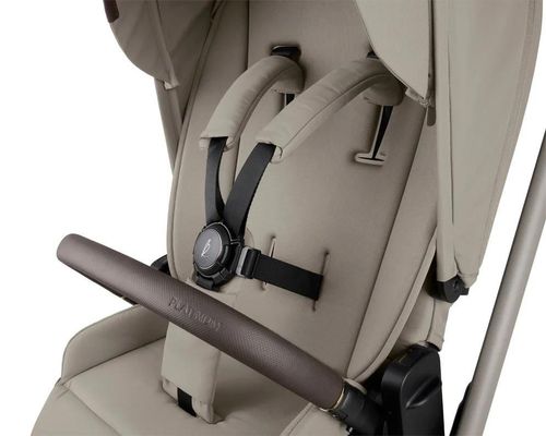 cumpără Сărucior pentru copii Kikka Boo 31001020169 Carucior 2in1 Goya Platinum Champagne în Chișinău 