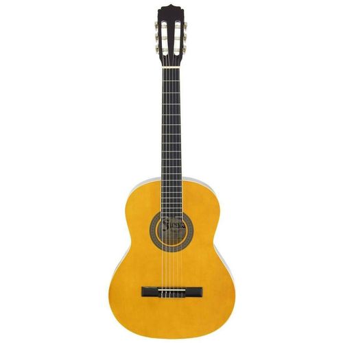 купить Гитара Fiesta Aria 4/4 FST-200 Natural + husa в Кишинёве 